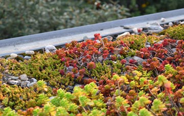 the cost of Cliftonville green roof installation