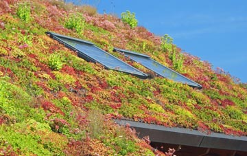 Cliftonville living roof systems