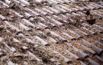 Cliftonville roof cleaning companies